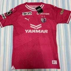 Item thumbnail for item cce8bdc6-a0e4-4324-8c04-cb2fc69addc1