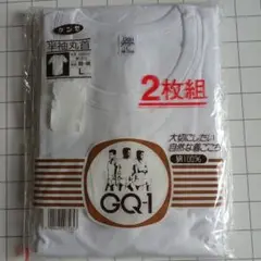 半袖Tシャツ 2枚組 Lサイズ