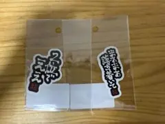 くさあん 2枚セット ヴィレッジヴァンガードコラボ
