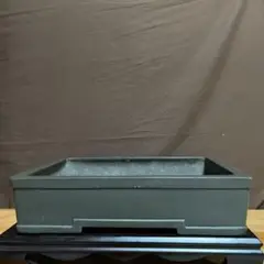 盆栽鉢 植木鉢 常滑焼 長方形大鉢 鼠 松泉焼山秋造 山秋 山秋造印