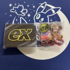 ポケモンカード　アクリルダメカン　ダメカンケース　マーカー　コイン
