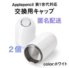 Apple Pencil キャップ 互換品 マグネット式 匿名配送