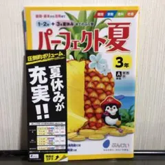 パーフェクト夏3年ドリル