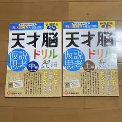 天才脳ドリル、仮説思考、中級、上級、未記入