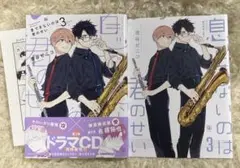息できないのは君のせい 3巻 アニメイト 小冊子