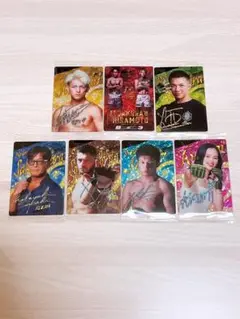 【バラ売り】RIZINウエハース カード (朝倉未来、平本蓮 等)