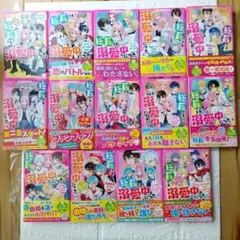 【良品】総長さま、溺愛中につき。【14冊セット】1-12巻+2冊
