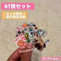 残り３点【即日発送可】こびとづかん シール ステッカー 41枚セット