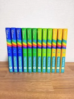 Item thumbnail for item 2c6b8bf4-9af2-4949-930a-d8a7b4081bbe