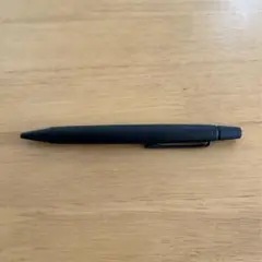 ライズ raiz パイロット ブラック