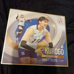 女子バレーボール黒後愛ミニ色紙