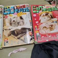 ビッグ オリジナル 3冊