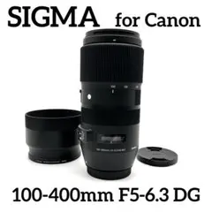 Item thumbnail for item 902ebb1a-53a4-4d3b-8a5d-1d2dbcc4d874