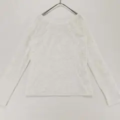 a881【美品】エーアイシー　シアーベロアバックオープントップス　F　ホワイト系