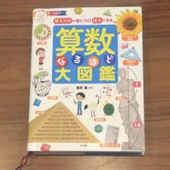 算数なるほど大図鑑　考える力が身につく！好きになる　桜井進