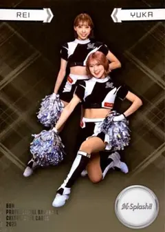 Item thumbnail for item 8c08631c-f163-4ebe-9f20-8c8027b631c9