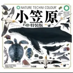 ネイチャーテクニカラー 小笠原 特装版 全6種フルコンプ