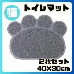 Item thumbnail for item cf1f73d1-f4fc-4531-9dba-f9f4854147f3