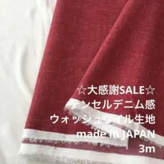 S2X/5762◆3m 感謝祭/綿系ウォッシュツイル生地/アパレル