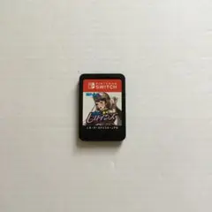 SNKヒロインズ　ソフトのみ