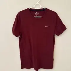 Hollister バーガンディ クルーネックTシャツ