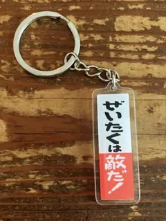 ぜいたくは敵 ヤバい キーホルダー 節約 ダイエット 右翼 参政 共産 思想