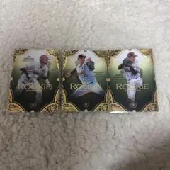 Item thumbnail for item 354813ba-6369-46ee-8921-ba8273abf18b