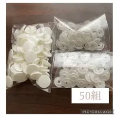 【匿名配送】スナップボタン 14mm 白　50組　激安　16