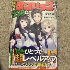 自宅にダンジョンが出来た。