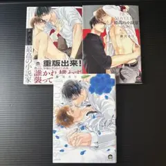 最高の小説家 Secret promise 藤河るり セット