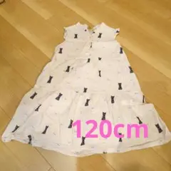 ★ユニクロ ポール＆ジョー 猫 ワンピース 120cm