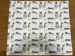 ①シュナウザー