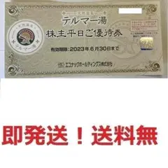 テルマー湯 平日株主優待券 エコナック ★多数も可
