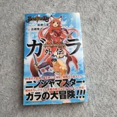BASTARD!!―暗黒の破壊神―NINJA MASTERガラ外伝