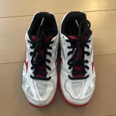 ミズノ　ブレイクショット　テニスシューズ　オムニクレー　20cm レッド