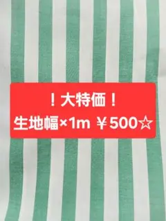 【大特価！】生地幅×1m ストライプ ボーダー エメラルドグリーン 薄手生地