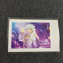 いれいす チェキ風 トレカ カード 初兎 しょう ライブ