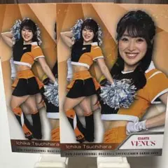 Item thumbnail for item 71521350-e34d-4ff0-85a5-05a3042e6b30