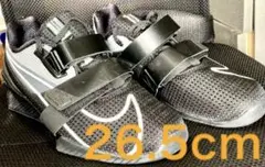 Item thumbnail for item be6427ea-59f5-4f4a-b45e-50c2e9af9f12