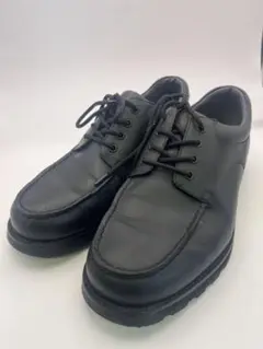 Item thumbnail for item 16fe6f81-9d2a-432e-929d-8b3c96497582