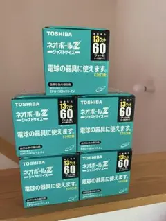 TOSHIBA 13W ボール型電球 EFG15EN/13-ZJ