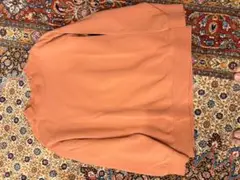 Item thumbnail for item 205805d5-ec32-441d-a431-c427389ccb36