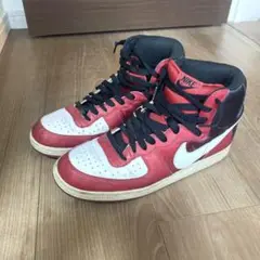 NIKE TERMINATOR 336609-611 27センチ