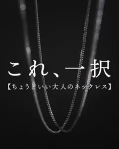 【美品】SUAVELE シルバーネックレス　50センチ