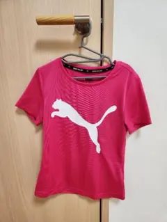 Item thumbnail for item 656cfad1-c380-40dd-862a-d96131e80754