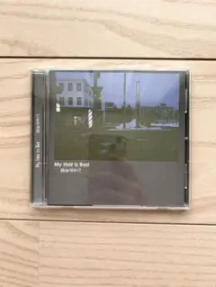 My Hair is Bad 昨日になりたくて