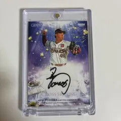 Item thumbnail for item 6ecbcedc-f5c5-447e-a0af-72aa89f04e0a