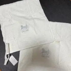 Item thumbnail for item be575608-3f46-442e-9251-63d843559eb1