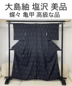 大島紬 塩沢 袷 着物 蝶々 亀甲 紺系 証紙無し 高級品 美品の部類