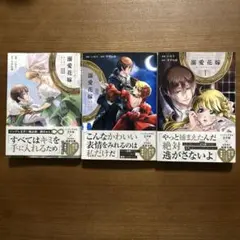 溺愛花嫁 朝に濡れ夜に乱れ 1-3巻